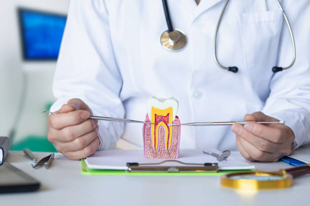Best Emergency Tooth Extraction in Old Jefferson, LA